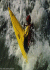 k1whit11.jpg