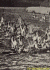 regatta3.jpg