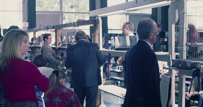 [ Panorama of Judges, right ]