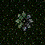 floral1