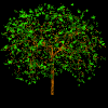 Arbol moviendose por el viento, multigif