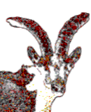 Macho Monts, gif