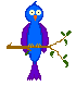 pajaro azul