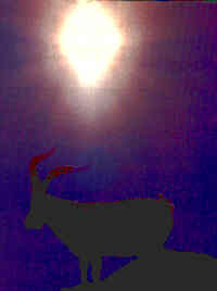 Macho mont�s al trasl�z