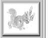 squirrel
