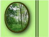 woodland