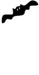 bat-fly.gif (1600 bytes)