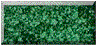 bg1.gif (3102 bytes)