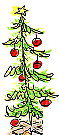 card10.gif (5205 bytes)