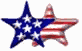 stars-3dstripes.gif (1601 bytes)