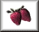 strw-pln.gif (1878 bytes)