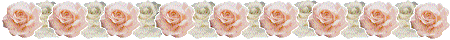 Pink and White Roses Divider