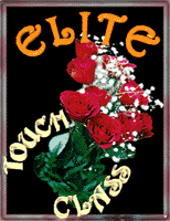 'Elite Touch of Class' Award