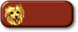 Empty button