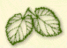Decoration