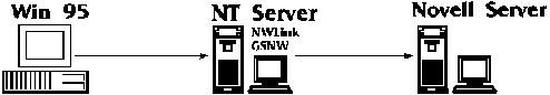 Win95 Client, NT Server, Novell Server