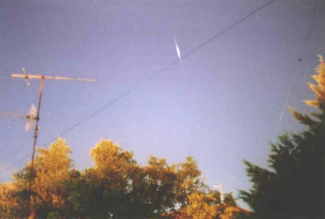 irid1.jpg(21k)
