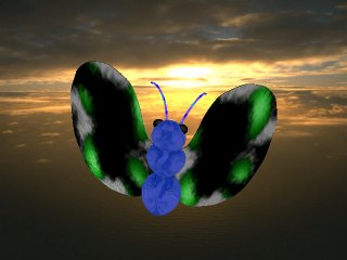 a butterfly