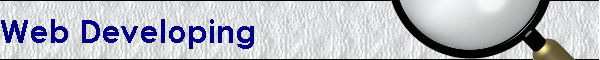 Web Developing