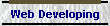 Web Developing