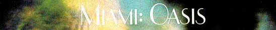 Miami Oasis Book Cover Image