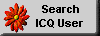 Search ICQ User
