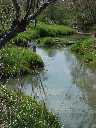 Dowm the river