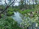 Up the river