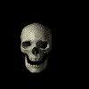 skull2.gif - 15691 Bytes