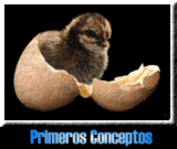 Primeros Conceptos