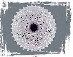 The XTR cassette