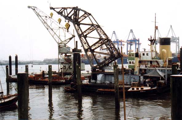 Cranes at Neumühlen