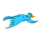 A Bird