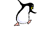 Penguin 1
