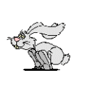 Rabit Run