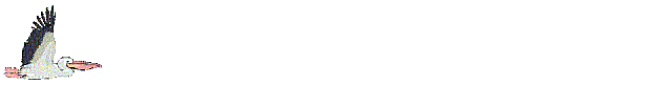 Stork