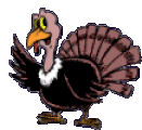 Turkey 5