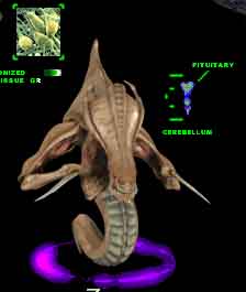 The Voracious Hydralisk