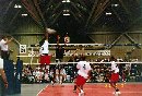 Elvis From Creole Hitting