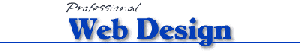 Professional Web Design