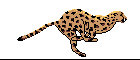 [Picture of Cheetax, Cheetah form]