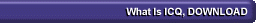 3018 bytes -- What is ICQ, Download