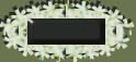 blank button