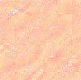 peach pastel