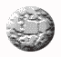 animated button