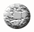animated button