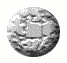 animated button