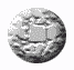 animated button