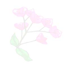 flowers tile