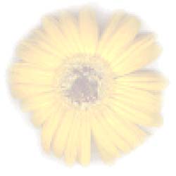 widlflower.tile